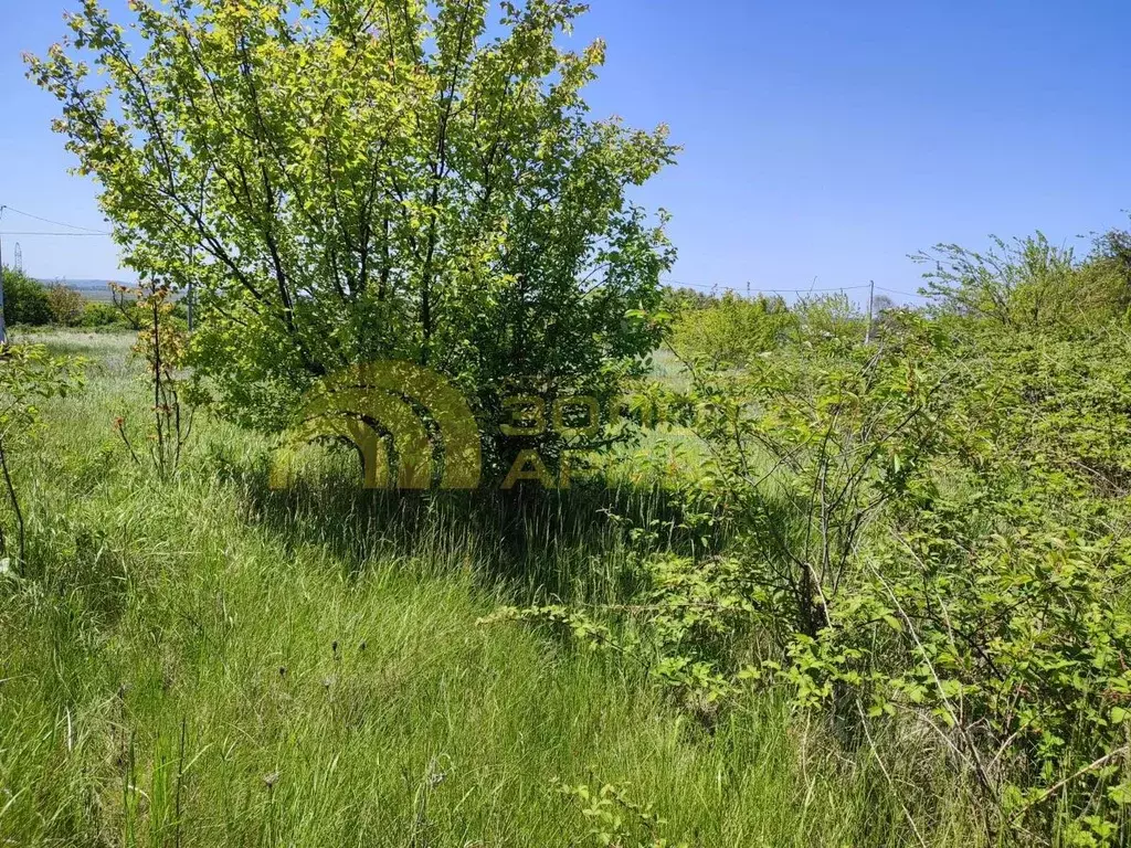 Участок в Краснодарский край, Темрюк Труженик СНТ, ул. Летняя (7.7 ... - Фото 1