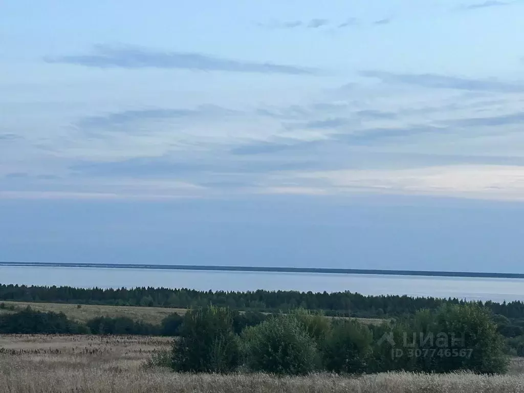 Участок в Вологодская область, Череповецкий район, Мяксинское ... - Фото 1