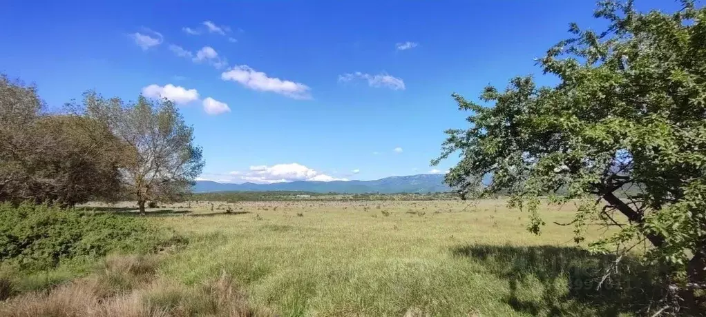 Участок в Севастополь с. Передовое, ул. Минчугова (1000.0 сот.) - Фото 1