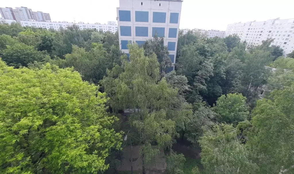 1-к кв. Москва ул. Корнейчука, 38 (38.0 м) - Фото 1