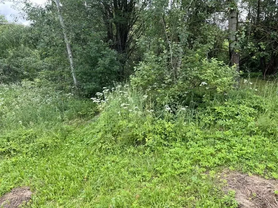 Участок в Московская область, Высоковск Клин городской округ, д. ... - Фото 1