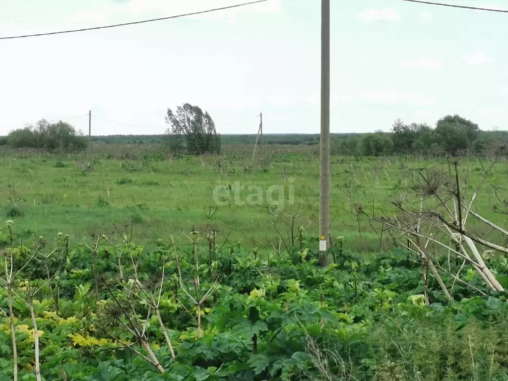 Участок в Коми, Сыктывдинский район, с. Выльгорт  (12.8 сот.) - Фото 1