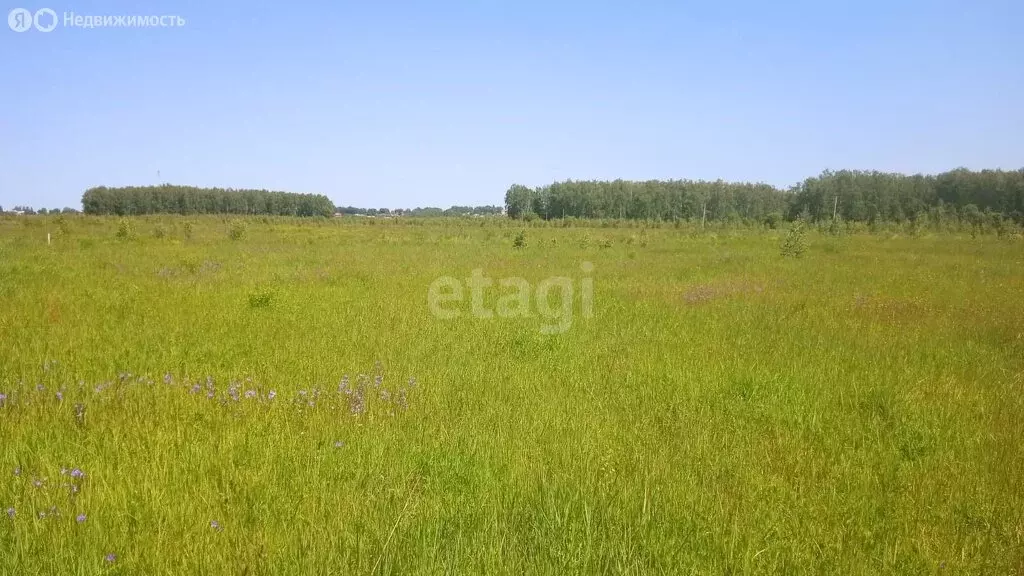 Участок в муниципальное образование Паустовское, деревня Болымотиха ... - Фото 0