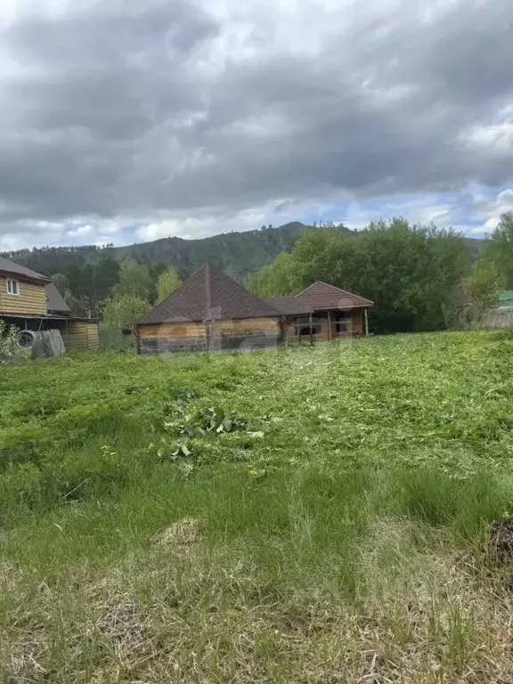 Участок в Алтай, Майминский район, Соузгинское с/пос, пос. Черемшанка ... - Фото 2