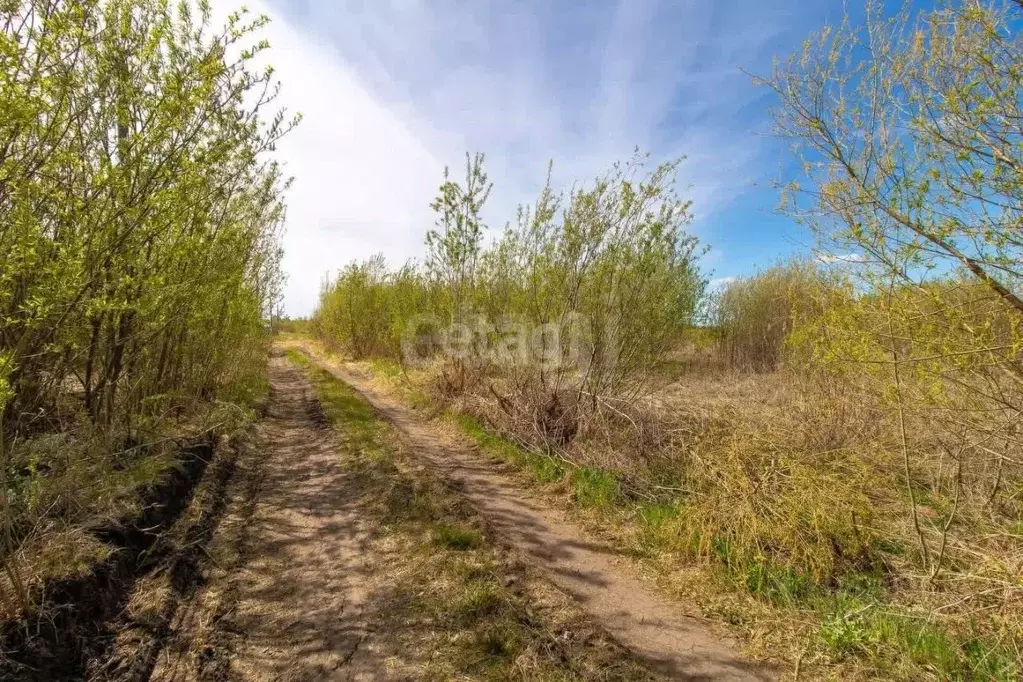 Участок в Тюменская область, Нижнетавдинский муниципальный округ, ... - Фото 2