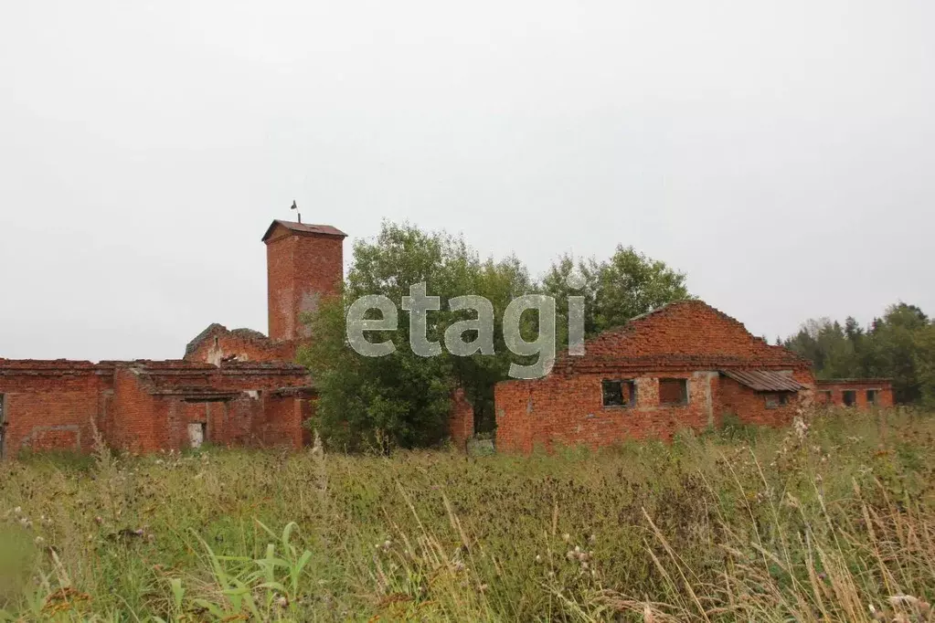 Участок в Вологодская область, Грязовецкий муниципальный округ, ... - Фото 1