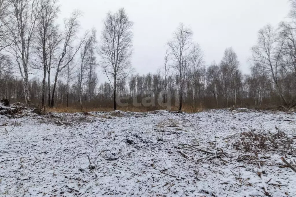 Участок в Тюменская область, Тюменский муниципальный округ, Каменское ... - Фото 1