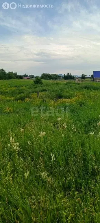 Участок в Усть-Иша, улица Мичурина (15 м) - Фото 1