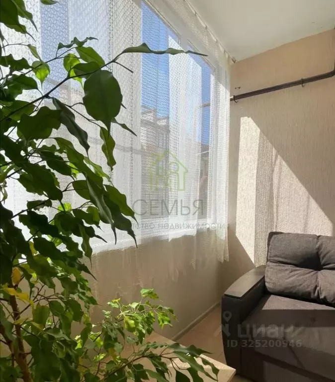 1-к кв. Краснодарский край, Геленджик городской округ, с. Дивноморское ... - Фото 2