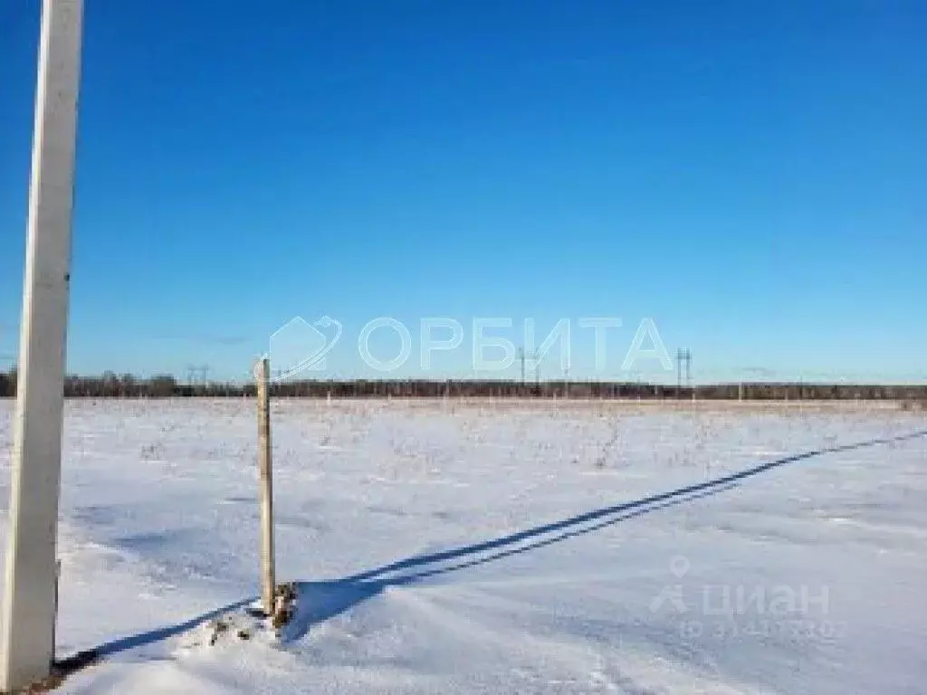 Участок в Тюменская область, Тюменский район, с. Щербак  (8.17 сот.) - Фото 1