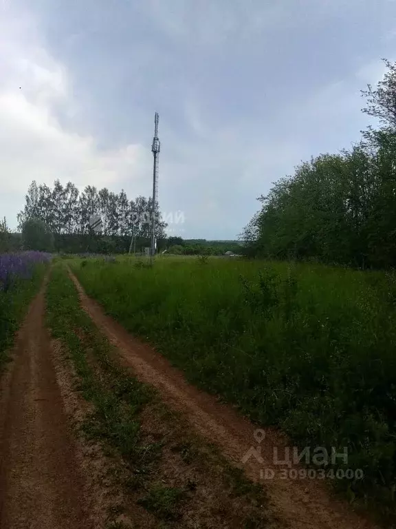 Участок в Чувашия, Чебоксарский муниципальный округ, д. Сархорн  (18.0 ... - Фото 1