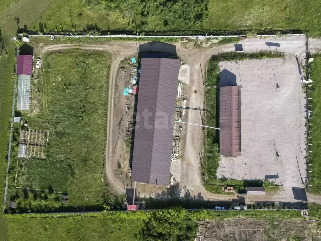 Склад в Красноярский край, Красноярск городской округ, Березовка пгт ... - Фото 1