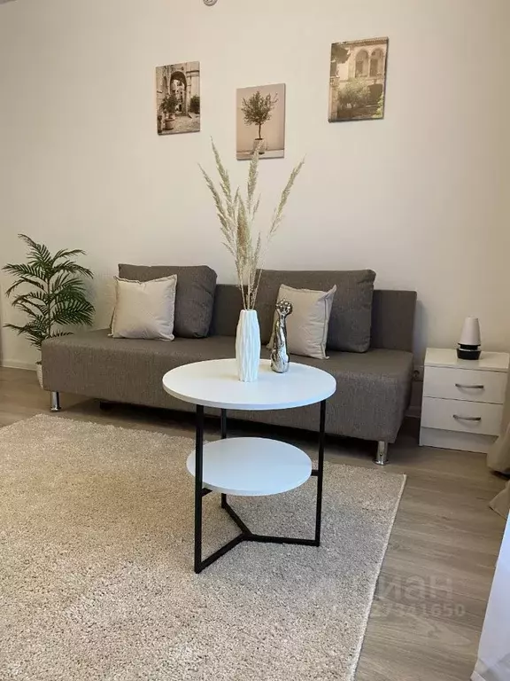 Студия Московская область, Красногорск городской округ, пос. ... - Фото 2