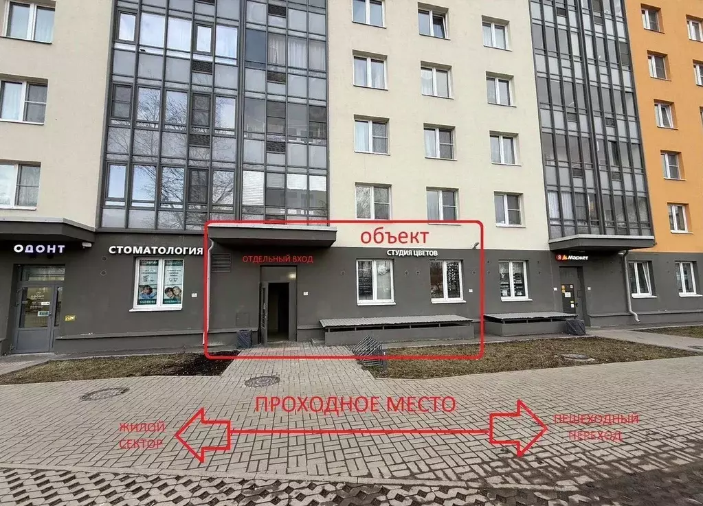 Помещение свободного назначения в Санкт-Петербург, Санкт-Петербург, ... - Фото 1