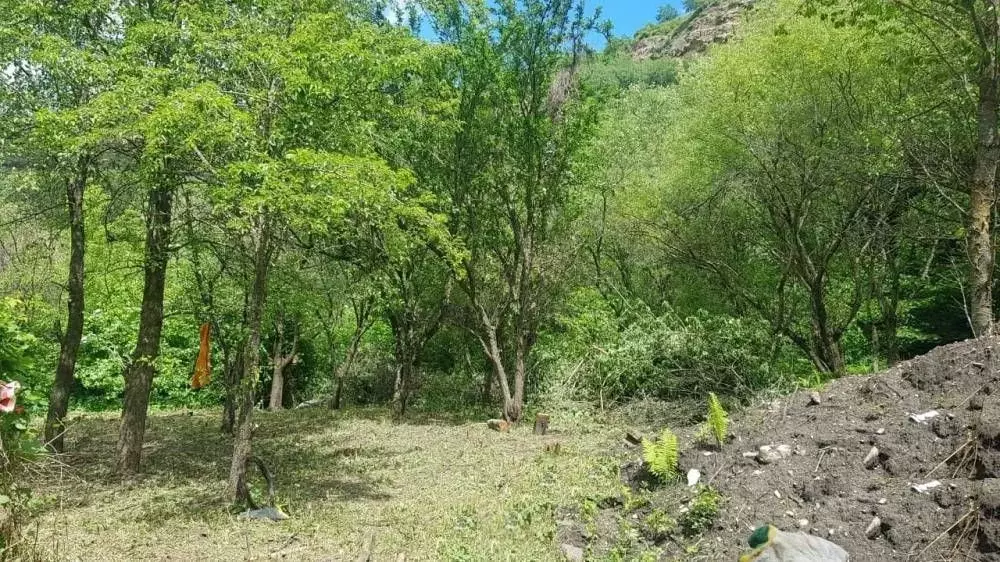 Участок в Ставропольский край, Кисловодск Вишенка СТ,  (5.6 сот.) - Фото 0