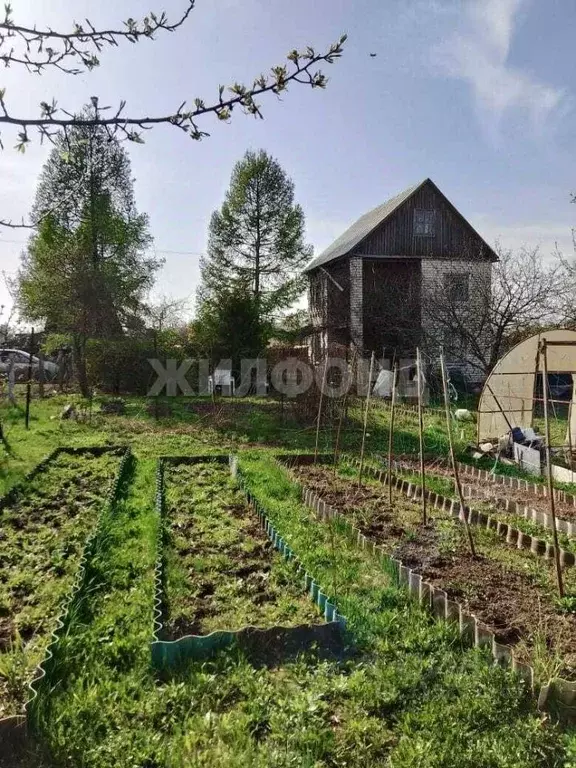 Участок в Брянская область, Брянск Большое Полпино пгт,  (6.0 сот.) - Фото 0