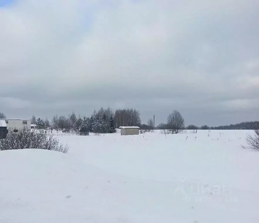 Участок в Московская область, Дмитровский муниципальный округ, с. ... - Фото 1