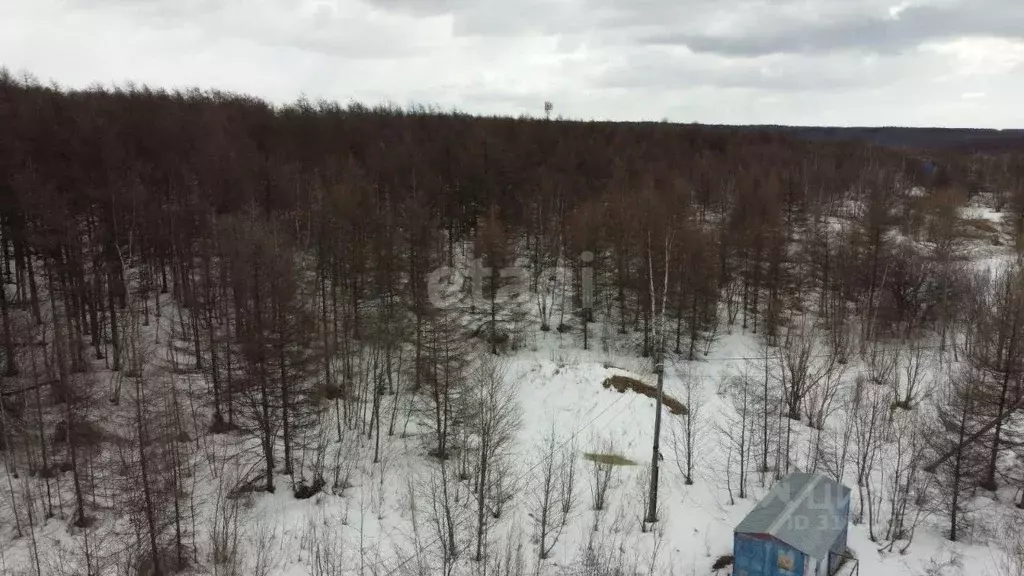 Участок в Сахалинская область, Анивский городской округ, с. Мицулевка  ... - Фото 1