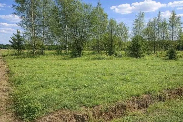 Участок в Московская область, Солнечногорск городской округ, д. Покров ... - Фото 1