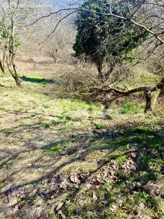 Участок в Краевско-Армянское, улица Саят-Нова (7.45 м) - Фото 2