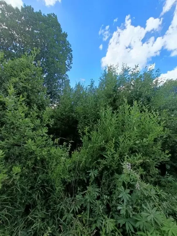 Дом в Ленинградская область, Гатчинский муниципальный округ, Вырица ... - Фото 1