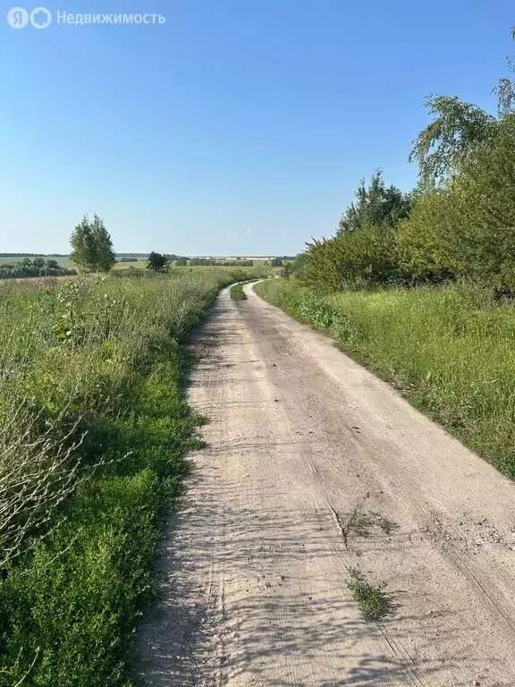 Участок в Рязанский район, Высоковское сельское поселение, деревня ... - Фото 0