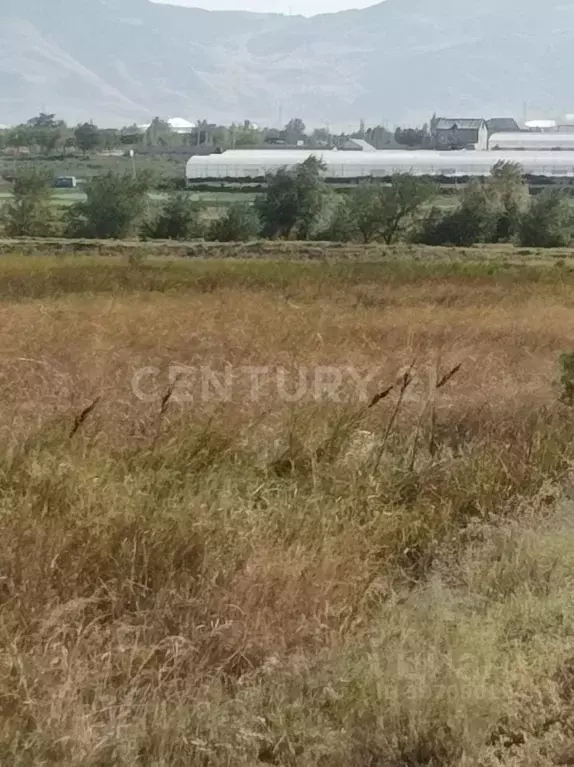 Участок в Дагестан, Махачкала городской округ, с. Шамхал-Термен ул. ... - Фото 1