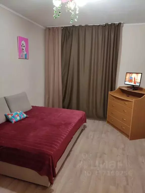 Студия Санкт-Петербург просп. Просвещения, 43 (25.0 м) - Фото 1