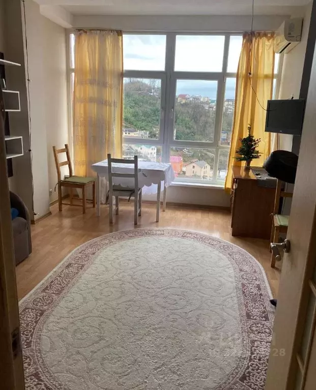 Студия Краснодарский край, Сочи Вишневая ул., 15А (30.0 м) - Фото 1