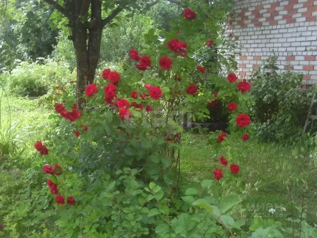 Дом в Псковская область, Пушкиногорье городское поселение, д. Гарино ... - Фото 2