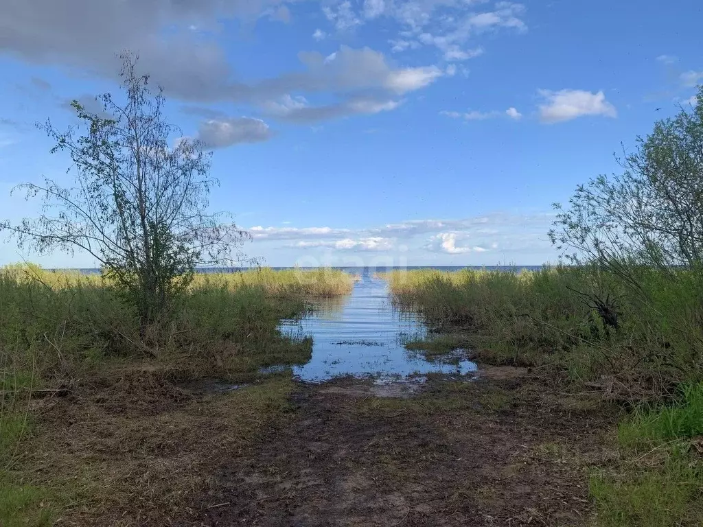 Купить Участок Песчаное Новгородский Район