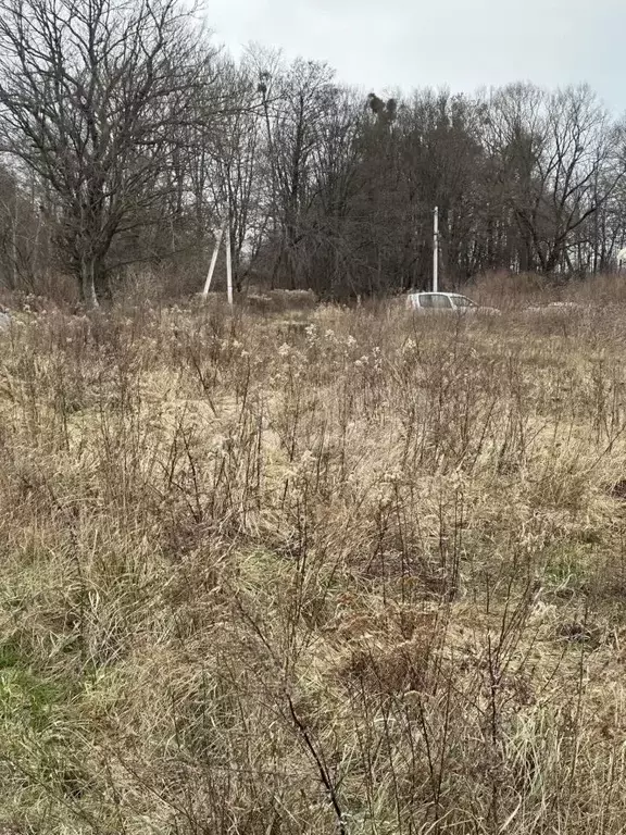 Участок в Калининградская область, Гвардейский муниципальный округ, ... - Фото 2