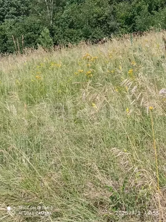 Участок в Мордовия, Саранск Зеленый Друг СНТ,  (4.56 сот.) - Фото 2