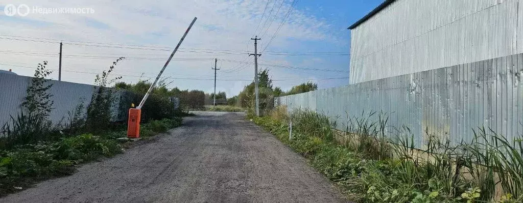 Участок в Колтушское городское поселение, коттеджный посёлок Росток ... - Фото 1
