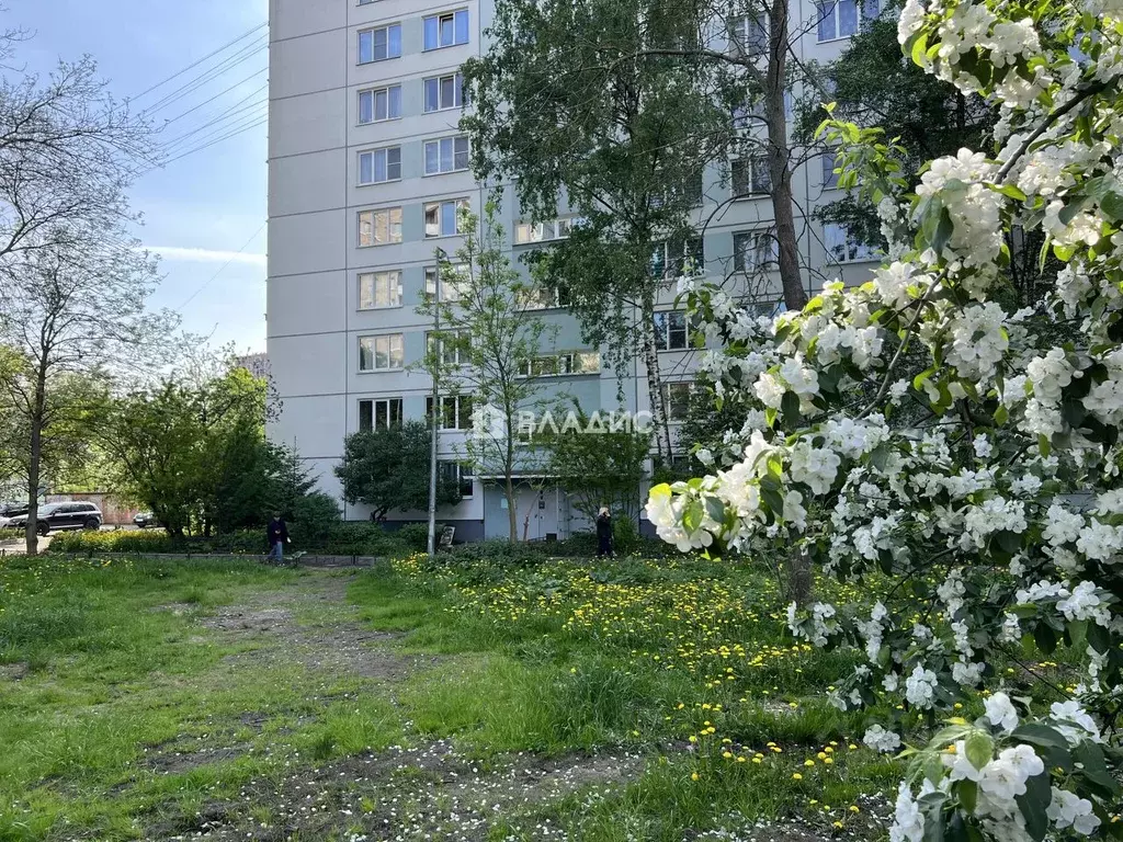 3-к кв. Санкт-Петербург ул. Дыбенко, 11К1 (54.8 м) - Фото 1