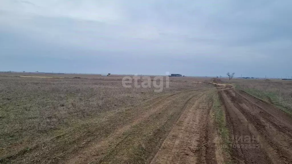 Участок в Крым, Сакский район, с. Штормовое ул. Южная (6.0 сот.) - Фото 0