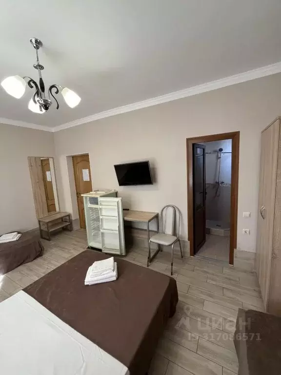 Комната Краснодарский край, Сочи ул. Просвещения, 165Б (25.0 м) - Фото 1