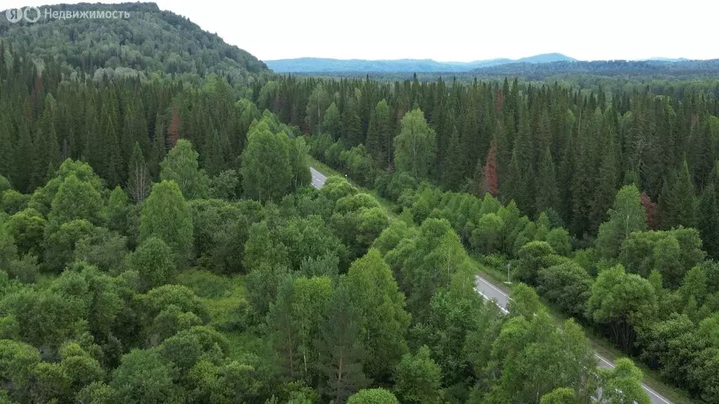 Участок в Турочакский район, Бийкинское сельское поселение (150 м) - Фото 1