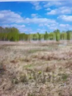 Участок в Ульяновская область, Ульяновск городской округ, с. Луговое ... - Фото 1