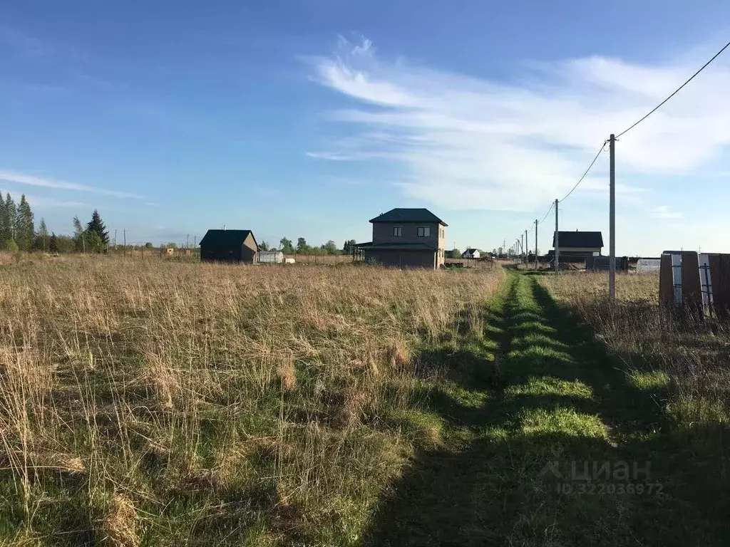 Участок в Московская область, Домодедово городской округ, с. ... - Фото 0