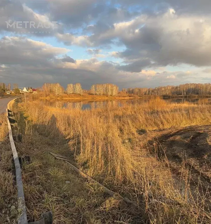 Участок в Новосибирская область, Новосибирский район, Каменский ... - Фото 0