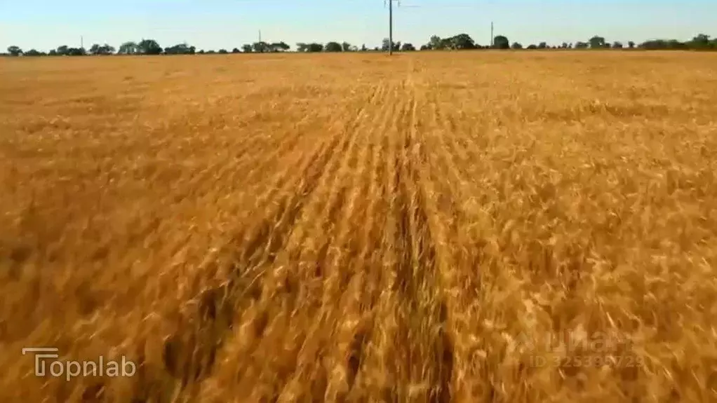 Участок в Крым, Сакский район, с. Штормовое  (6.0 сот.) - Фото 2