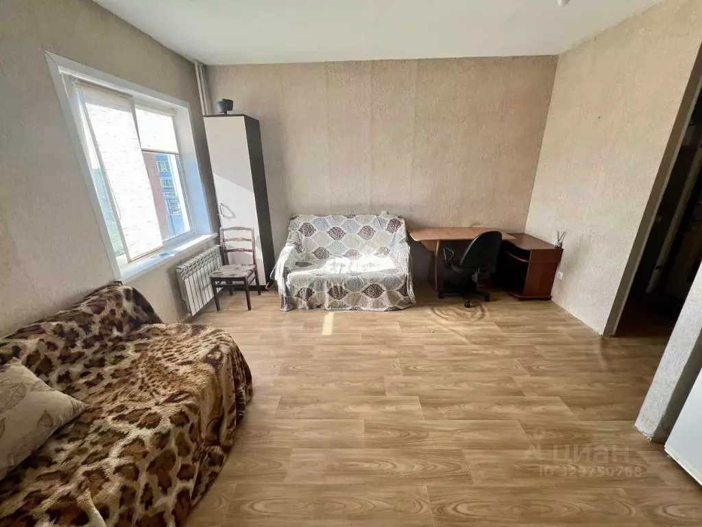 Студия Псковская область, Великие Луки ул. Гоголя, 15 (25.0 м) - Фото 2