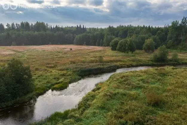 Участок в Пустомержское сельское поселение, деревня Онстопель, Луговая ... - Фото 1