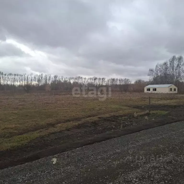 Участок в Новосибирская область, Новосибирский район, с. Плотниково ... - Фото 2