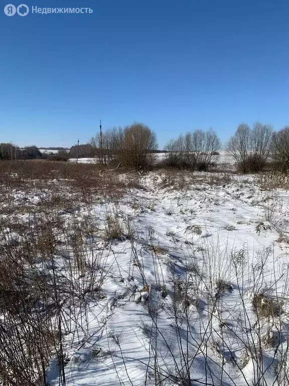 Участок в Орловский муниципальный округ, деревня Распоповские Дворы, ... - Фото 1