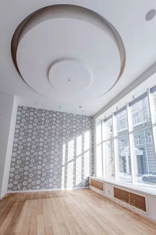 Помещение свободного назначения в Москва пер. Даев, 33 (93 м) - Фото 2