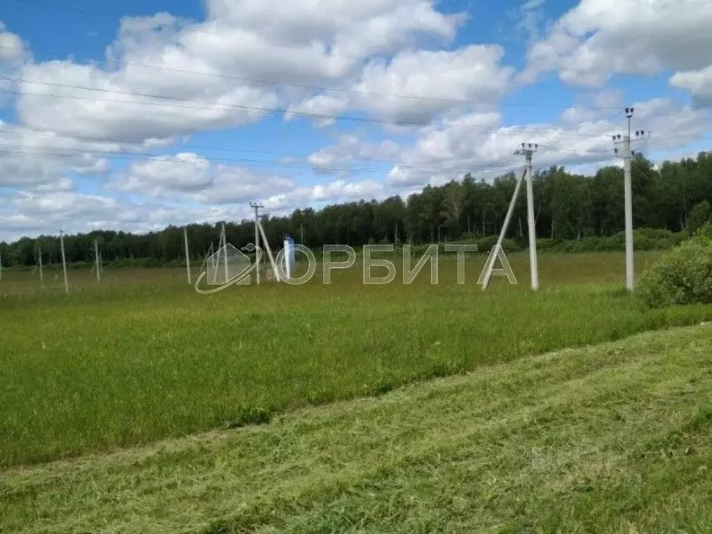 Участок в Тюменская область, Тюменский муниципальный округ, с. ... - Фото 2