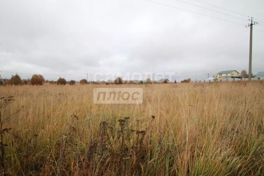 Участок в Ярославская область, Переславль-Залесский муниципальный ... - Фото 2