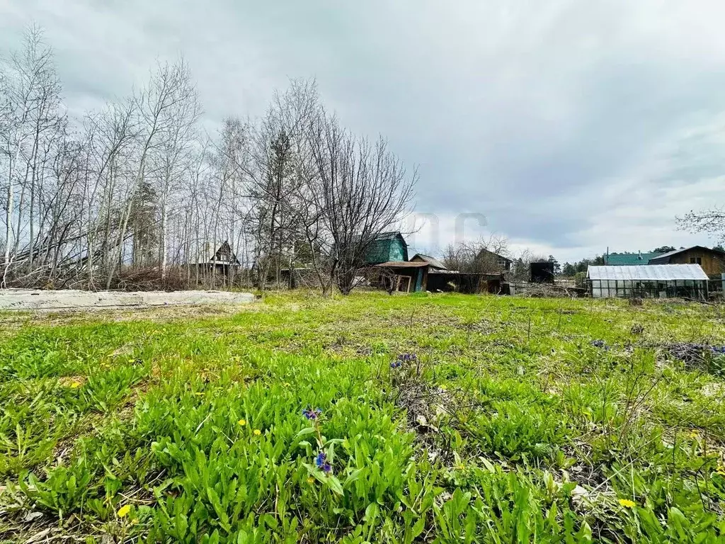 Участок в Свердловская область, Белоярский муниципальный округ, ... - Фото 2